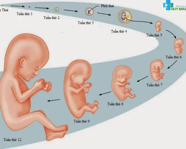 100+ Ảnh Siêu Âm Nhận Biết Trai Gái 4k,100+ Ảnh Dấu Hiệu Trai Gái 100+ Ảnh Siêu Âm Nhận Biết Trai Gái 4k,100+ Ảnh Dấu Hiệu Trai Gái