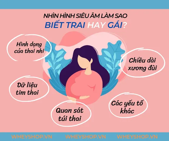 100+ Ảnh Siêu Âm Nhận Biết Trai Gái 4k,100+ Ảnh Dấu Hiệu Trai Gái 100+ Ảnh Siêu Âm Nhận Biết Trai Gái 4k,100+ Ảnh Dấu Hiệu Trai Gái