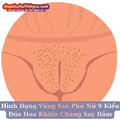 999+ Ảnh Nhìn Hình Ảnh Chổ Kín Của Gái Mới Nhất Hiện Nay