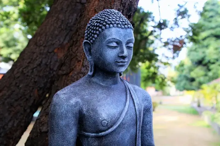 Giải Thích Ý Nghĩa 10 Danh Hiệu Đức Phật (như Lai, Ứng Cúng, Chánh Biến Tri, Minh Hạnh Túc...): Trọn Bộ Chi Tiết Dễ Hiểu