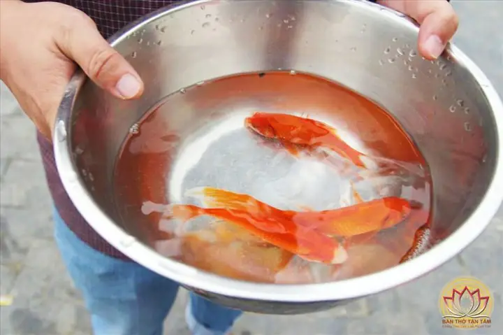 Nơi Cúng Ông Công Ông Táo Ở Đâu? Lễ Vật, Mâm Cúng Chuẩn & Vị Trí Bàn Thờ Đúng Phong Thủy
