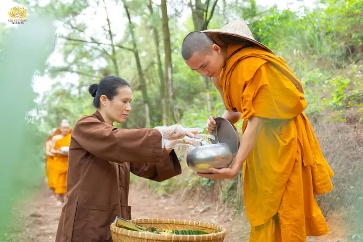 Phước Báu Cúng Dường Phật, Tăng, Tam Bảo: Ý Nghĩa, 10 Công Đức Vô Lượng & Căn Cứ Kinh Điển