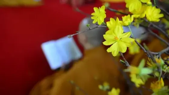 Sớ Cúng Giao Thừa Chuẩn Năm Mới: Lễ Văn, Bài Khấn, Nơi Cúng Đúng Nghi Thức