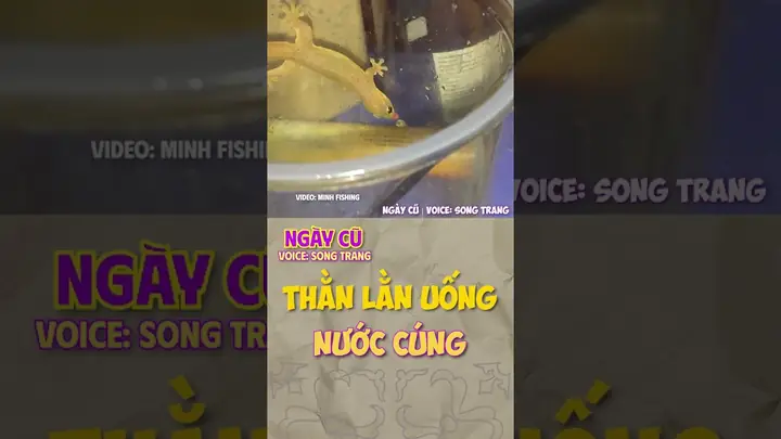 Ý Nghĩa "thằn Lằn Uống Nước Cúng" Là Gì? Giải Thích Thành Ngữ, Hình Ảnh Ẩn Dụ Và Cách Dùng Đúng Ngữ Cảnh Ý Nghĩa "thằn Lằn Uống Nước Cúng" Là Gì? Giải Thích Thành Ngữ, Hình Ảnh Ẩn Dụ Và Cách Dùng Đúng Ngữ Cảnh