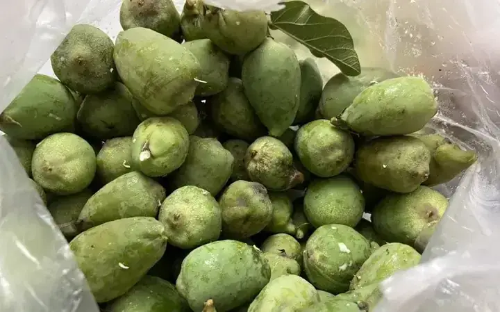 Ý Nghĩa "thằn Lằn Uống Nước Cúng" Là Gì? Giải Thích Thành Ngữ, Hình Ảnh Ẩn Dụ Và Cách Dùng Đúng Ngữ Cảnh Ý Nghĩa "thằn Lằn Uống Nước Cúng" Là Gì? Giải Thích Thành Ngữ, Hình Ảnh Ẩn Dụ Và Cách Dùng Đúng Ngữ Cảnh