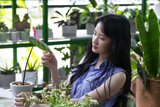 100+ Ảnh Thanh Vy Em Gái Mưa Điện Ảnh Đẹp, Hình Nền 4k Siêu Nét 100+ Ảnh Thanh Vy Em Gái Mưa Điện Ảnh Đẹp, Hình Nền 4k Siêu Nét