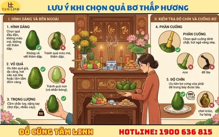 Trái Bơ Có Cúng Được Không? Ý Nghĩa, Tín Ngưỡng & Cách Bày Mâm Đúng Chuẩn