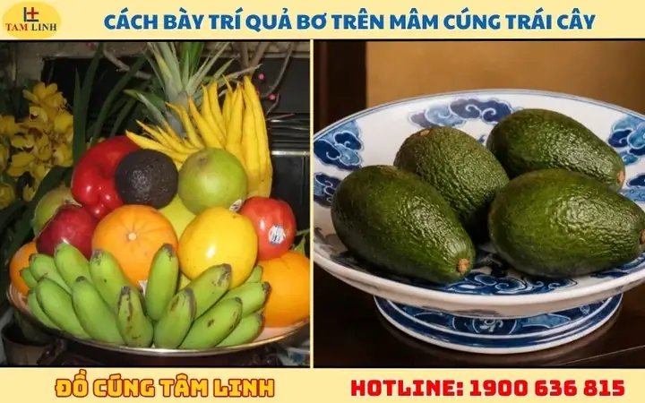 Trái Bơ Có Cúng Được Không? Ý Nghĩa, Tín Ngưỡng & Cách Bày Mâm Đúng Chuẩn