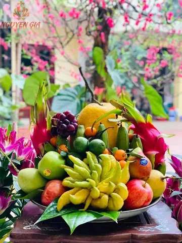 Top 10+ Loại Trái Cây Cúng Ông Địa Thần Tài Ý Nghĩa May Mắn, Cách Chọn Và Bày Trí Chuẩn Phòng Thổ Top 10+ Loại Trái Cây Cúng Ông Địa Thần Tài Ý Nghĩa May Mắn, Cách Chọn Và Bày Trí Chuẩn Phòng Thổ