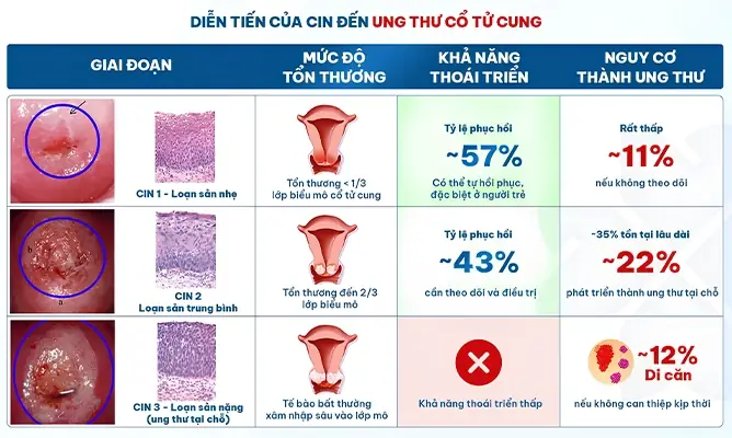 Ứng Cúng Là Gì? Ý Nghĩa, Từ Nguyên Và Vị Trí Trong 10 Danh Hiệu Của Đức Phật