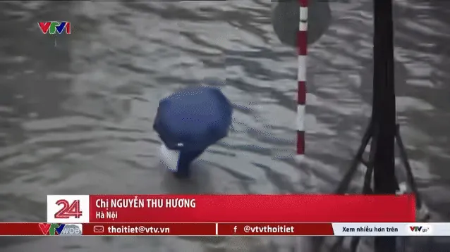 100+ Ảnh Chim Gái Hot, 100+ Hình Ảnh Chim Gái Đẹp, 100+ Bức Ảnh Chim Gái Nổi Bật