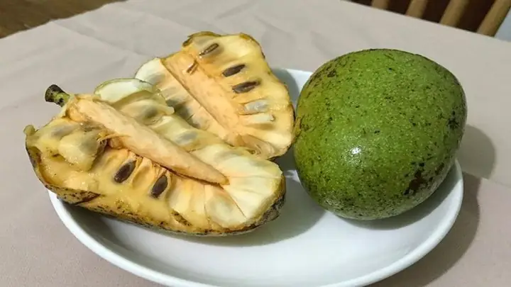 Ý Nghĩa Sâu Sắc Và Nghi Thức Cúng Quá Đường Với Bình Bát Của Người Tu Sĩ
