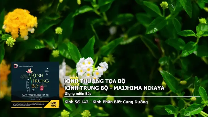 Kinh Trung Bộ 142: Phân Biệt Cúng Dường - Ý Nghĩa Và Hướng Dẫn Cúng Dường Đúng Pháp Kinh Trung Bộ 142: Phân Biệt Cúng Dường - Ý Nghĩa Và Hướng Dẫn Cúng Dường Đúng Pháp