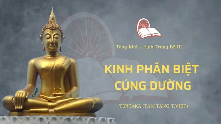 Kinh Trung Bộ 142: Phân Biệt Cúng Dường - Ý Nghĩa Và Hướng Dẫn Cúng Dường Đúng Pháp Kinh Trung Bộ 142: Phân Biệt Cúng Dường - Ý Nghĩa Và Hướng Dẫn Cúng Dường Đúng Pháp