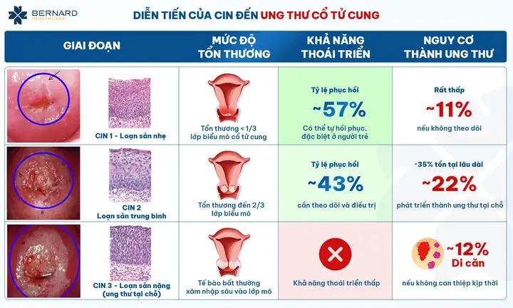 Các Loại Tiền Cúng Phổ Biến: Ý Nghĩa Và Cách Sử Dụng Chuẩn Tâm Linh