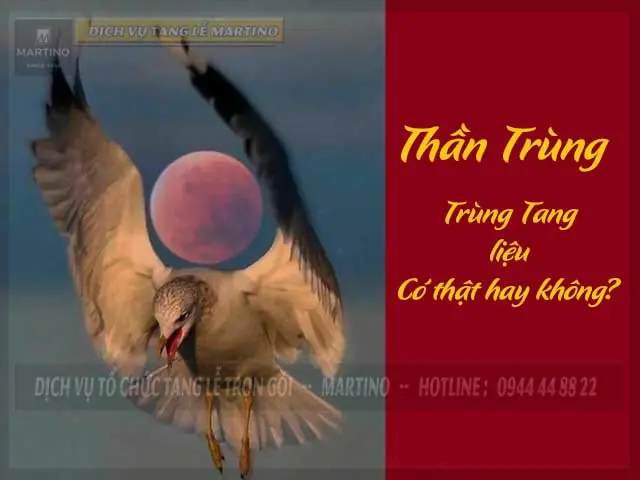 Hướng Dẫn Cúng Thần Trùng: Nghi Thức, Lễ Vật Và Cách Hóa Giải Hiệu Quả