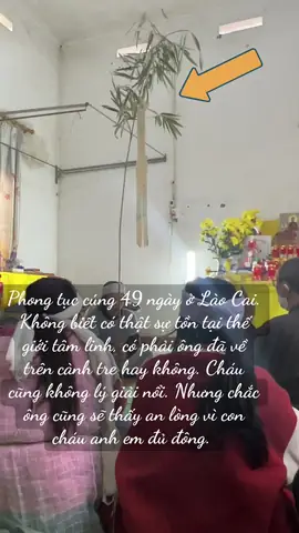 Cách Làm Cành Phan Cúng Chuẩn Nghi Lễ: Hướng Dẫn Chi Tiết & Ý Nghĩa Tâm Linh