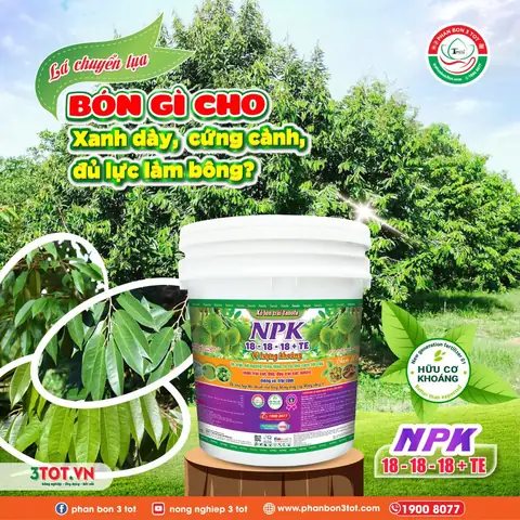 Cách Làm Cành Phan Cúng Chuẩn Nghi Lễ: Hướng Dẫn Chi Tiết & Ý Nghĩa Tâm Linh