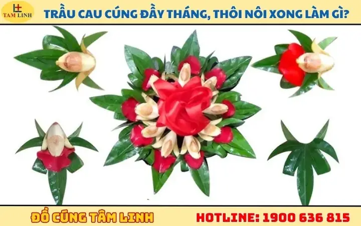 Hướng Dẫn Chi Tiết Cách Têm Trầu Cau Cúng Thôi Nôi Đẹp Chuẩn Nghi Lễ Hướng Dẫn Chi Tiết Cách Têm Trầu Cau Cúng Thôi Nôi Đẹp Chuẩn Nghi Lễ