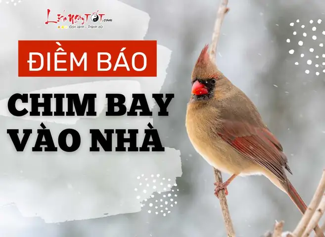 Chim Sẻ Bay Vào Nhà Khi Đang Cúng: Điềm Báo Lành Hay Dữ, Ý Nghĩa Tâm Linh Và Cách Ứng Xử Chim Sẻ Bay Vào Nhà Khi Đang Cúng: Điềm Báo Lành Hay Dữ, Ý Nghĩa Tâm Linh Và Cách Ứng Xử
