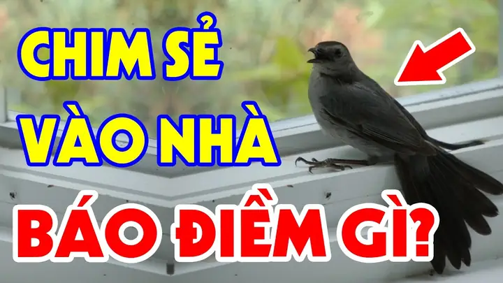 Chim Sẻ Bay Vào Nhà Khi Đang Cúng: Điềm Báo Lành Hay Dữ, Ý Nghĩa Tâm Linh Và Cách Ứng Xử Chim Sẻ Bay Vào Nhà Khi Đang Cúng: Điềm Báo Lành Hay Dữ, Ý Nghĩa Tâm Linh Và Cách Ứng Xử