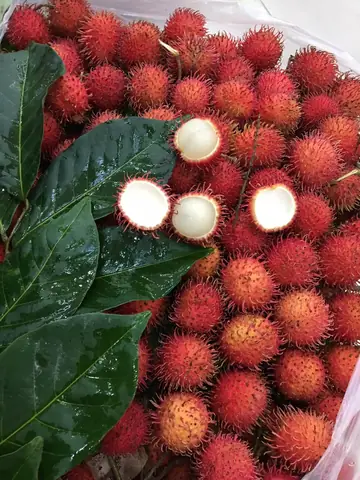Chôm Chôm Có Được Cúng Không? Ý Nghĩa & Cách Chọn Trái Tươi Ngon