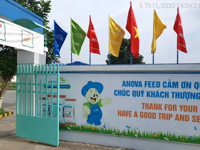 Cờ Cúng Nhiều Màu: Ý Nghĩa, Phân Loại Và Nơi Mua Uy Tín
