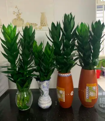 Có Nên Đặt Chậu Hoa Có Đất Trên Bàn Thờ? Giải Đáp Chuẩn Phong Thủy & Tâm Linh