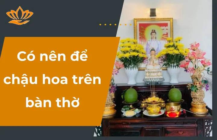 Có Nên Đặt Chậu Hoa Có Đất Trên Bàn Thờ? Giải Đáp Chuẩn Phong Thủy & Tâm Linh