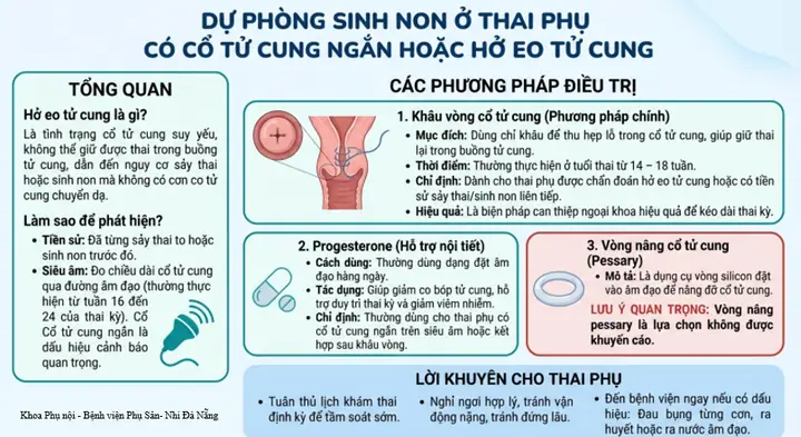Có Được Cúng Thịt Ngan Không? Giải Đáp Quan Niệm Và Thực Hành Cúng Lễ Có Được Cúng Thịt Ngan Không? Giải Đáp Quan Niệm Và Thực Hành Cúng Lễ