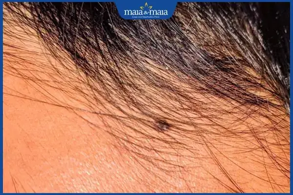 Cúng 3 Đầu Ruồi: Ý Nghĩa, Văn Khấn Và Những Lưu Ý Quan Trọng Trong Tín Ngưỡng Dân Gian Cúng 3 Đầu Ruồi: Ý Nghĩa, Văn Khấn Và Những Lưu Ý Quan Trọng Trong Tín Ngưỡng Dân Gian