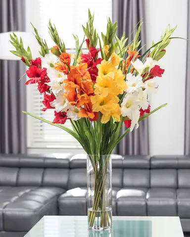 Cúng 7 Cành Hoa Trên Bàn Thờ Phật: Ý Nghĩa, Cách Thực Hiện Chuẩn Phong Thủy & Chọn Hoa Đẹp Cúng 7 Cành Hoa Trên Bàn Thờ Phật: Ý Nghĩa, Cách Thực Hiện Chuẩn Phong Thủy & Chọn Hoa Đẹp