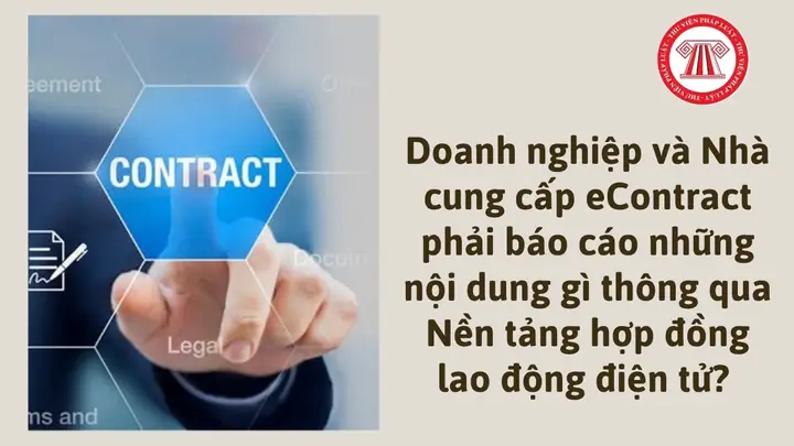 Cúng Cá Gì Hợp Phong Tục & Ý Nghĩa Ngày Lễ, Tết? Cúng Cá Gì Hợp Phong Tục & Ý Nghĩa Ngày Lễ, Tết?