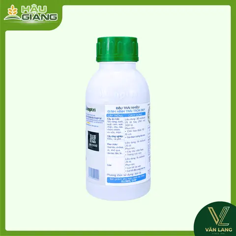 Giỏ Trái Cây Cúng Điếu Bình Dương: Ý Nghĩa, Mẫu Mã & Địa Chỉ Uy Tín Giỏ Trái Cây Cúng Điếu Bình Dương: Ý Nghĩa, Mẫu Mã & Địa Chỉ Uy Tín