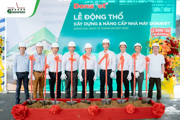 Cúng Động Thổ Xây Nhà Máy: Hướng Dẫn Chi Tiết Thủ Tục, Văn Khấn & Lễ Vật Chuẩn Phong Thủy