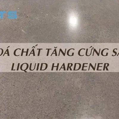 Cúng Hoa Gì Tốt Nhất? Chọn Hoa Theo Dịp Lễ & Ban Thờ Hút Tài Lộc Cúng Hoa Gì Tốt Nhất? Chọn Hoa Theo Dịp Lễ & Ban Thờ Hút Tài Lộc