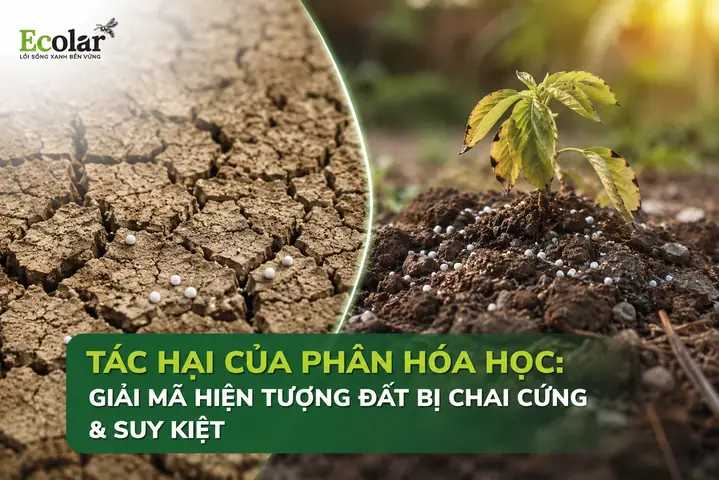 Cúng Sao Giải Hạn Đầu Năm: Ý Nghĩa, Cách Thực Hiện Và Văn Khấn Chuẩn