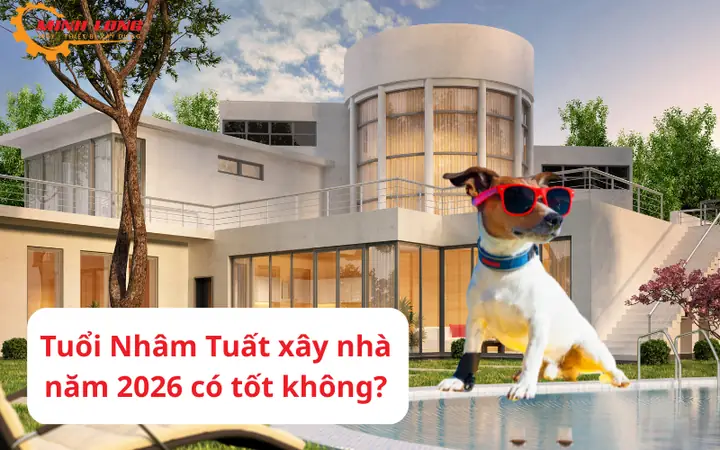 Hướng Dẫn Chi Tiết Cúng Giải Hạn Cho Người Tuổi Nhâm Tuất 1982: Sao Chiếu Mệnh Và Cách Thực Hiện