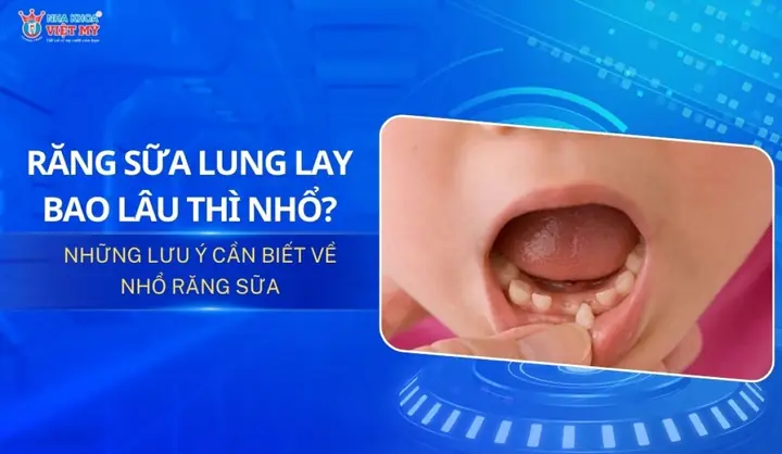 Cúng Ngoài Trời Lạy Bao Nhiêu Lạy: Hướng Dẫn Chi Tiết Theo Phong Tục Truyền Thống