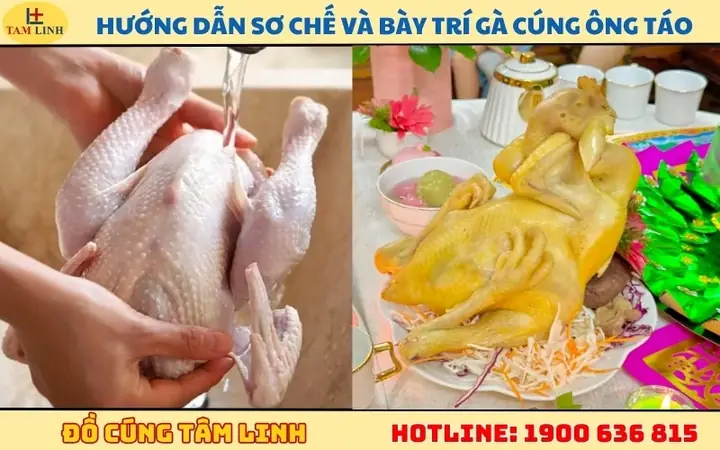 Cúng Ông Táo Gà Trống Hay Gà Mái: Lựa Chọn Đúng Chuẩn Phong Tục & Tâm Linh Cúng Ông Táo Gà Trống Hay Gà Mái: Lựa Chọn Đúng Chuẩn Phong Tục & Tâm Linh