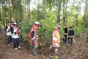 Lễ Cúng Rừng Người Dao Lào Cai: Ý Nghĩa, Thời Gian Và Nghi Thức Độc Đáo Lễ Cúng Rừng Người Dao Lào Cai: Ý Nghĩa, Thời Gian Và Nghi Thức Độc Đáo