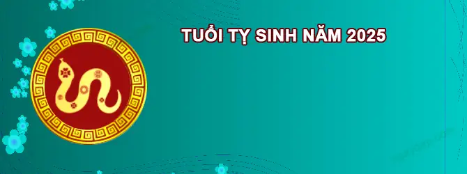 Tuổi Ất Tỵ 2027: Xem Sao Chiếu Mệnh, Vận Hạn Và Cách Cúng Sao Giải Hạn