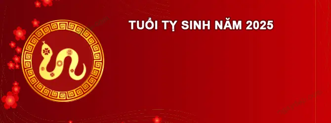 Tuổi Ất Tỵ 2027: Xem Sao Chiếu Mệnh, Vận Hạn Và Cách Cúng Sao Giải Hạn