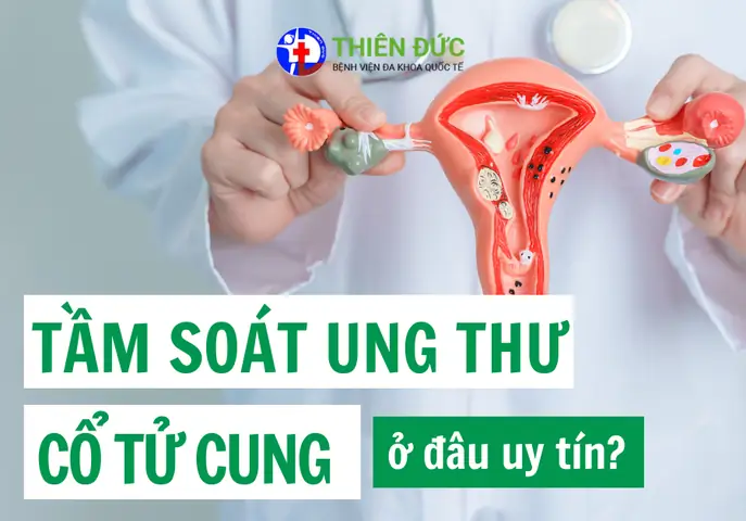 Cúng Tam Tai Tuổi Dậu Năm 2025: Hướng Dẫn Chi Tiết Cách Giải Hạn Chuẩn Phong Thủy