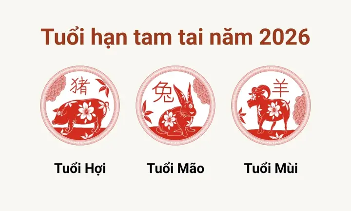 Cúng Tam Tai Tuổi Mão: Hướng Dẫn Chi Tiết Cách Giải Hạn Năm 2026 Cúng Tam Tai Tuổi Mão: Hướng Dẫn Chi Tiết Cách Giải Hạn Năm 2026