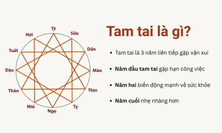 Cúng Tam Tai Tuổi Mão: Hướng Dẫn Chi Tiết Cách Giải Hạn Năm 2026 Cúng Tam Tai Tuổi Mão: Hướng Dẫn Chi Tiết Cách Giải Hạn Năm 2026