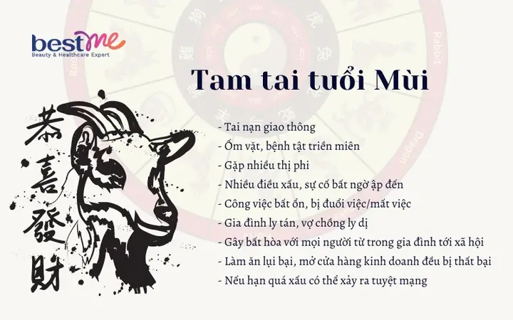 Cách Cúng Tam Tai Tuổi Tân Mùi 1991 Chuẩn Phong Thủy Và Hóa Giải Vận Hạn