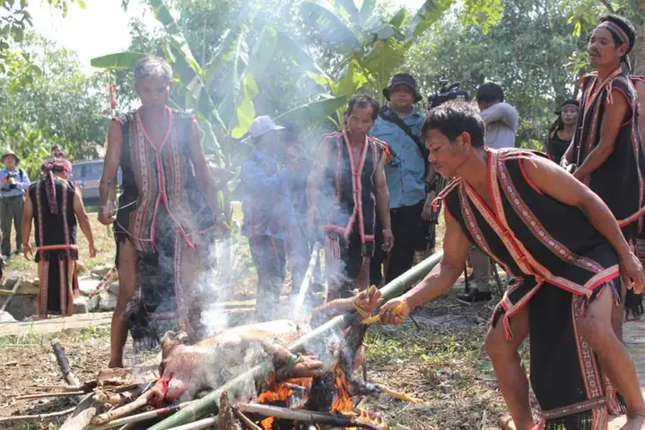 Lễ Cúng Thần Rừng Của Người Mạ: Nghi Thức, Ý Nghĩa Và Giá Trị Văn Hóa Lễ Cúng Thần Rừng Của Người Mạ: Nghi Thức, Ý Nghĩa Và Giá Trị Văn Hóa