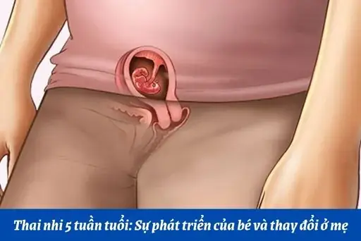 Phụ Nữ Có Được Làm Thầy Cúng Không? Giải Đáp Thắc Mắc Và Thực Tế Tín Ngưỡng Phụ Nữ Có Được Làm Thầy Cúng Không? Giải Đáp Thắc Mắc Và Thực Tế Tín Ngưỡng