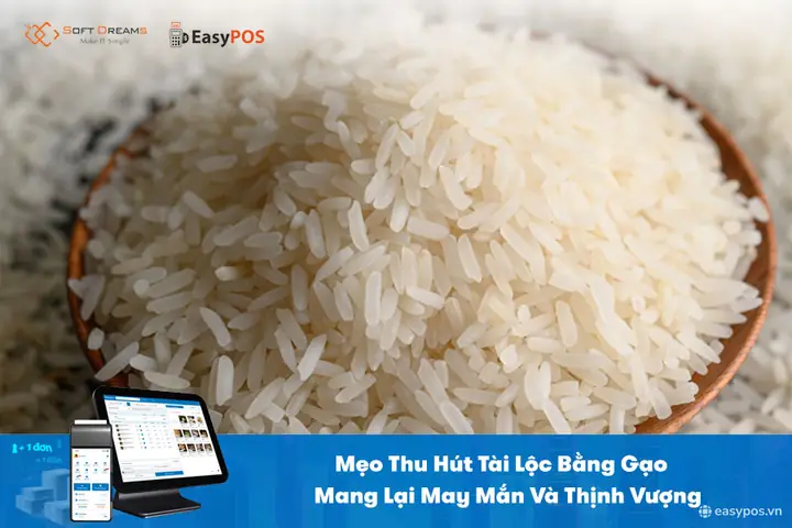 Gạo Muối Cúng Xong Làm Gì? Thời Điểm Vàng Thay Gạo Muối Giữ Vận Khí Gạo Muối Cúng Xong Làm Gì? Thời Điểm Vàng Thay Gạo Muối Giữ Vận Khí